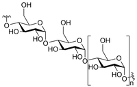 Polysaccharides
