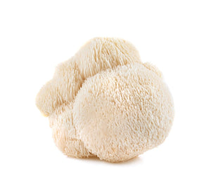Organic Lion’s Mane